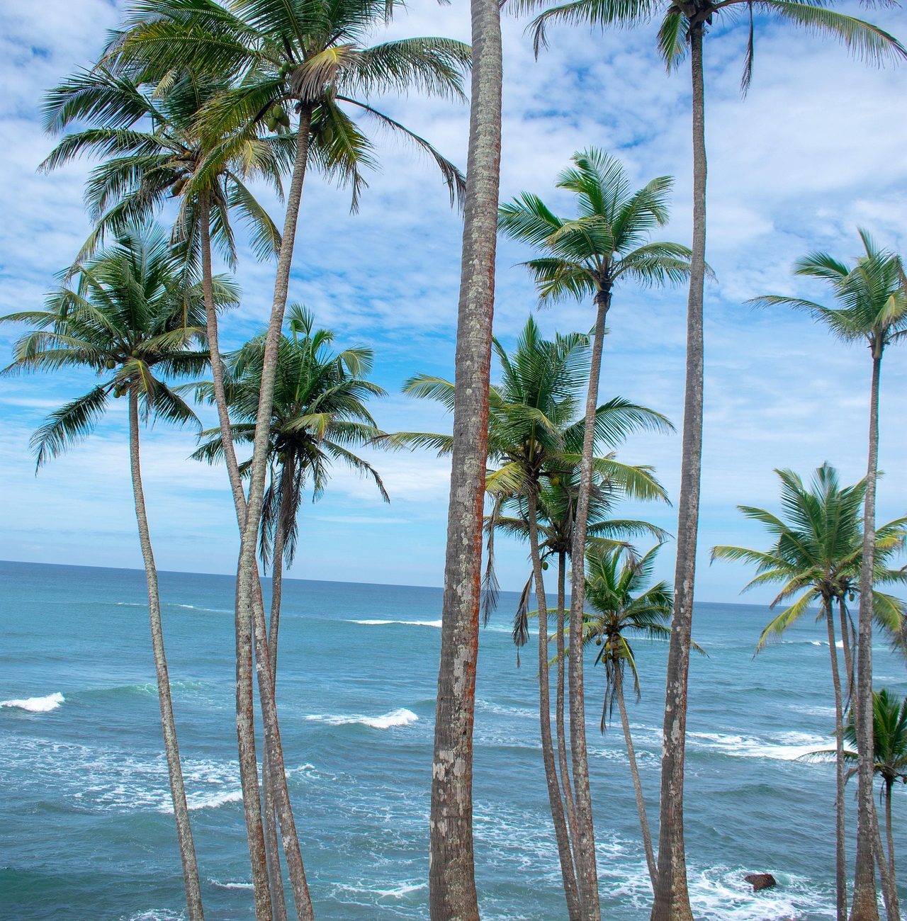 beach Holiday (1)